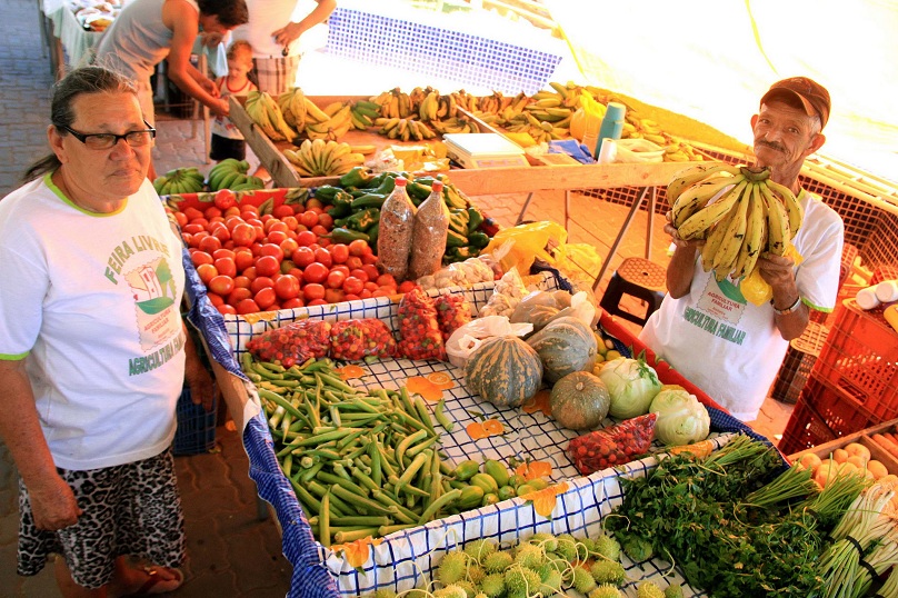 Chamada Pública Para Compra De Produtos Da Agricultura Familiar Jornal Espírito Santo Notícias 6994